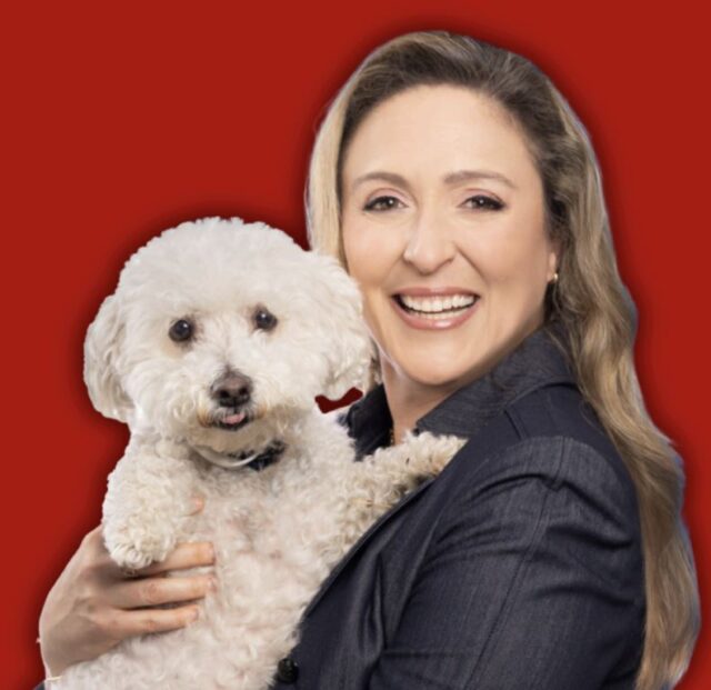 Can I Bring my Dog Across The Border?